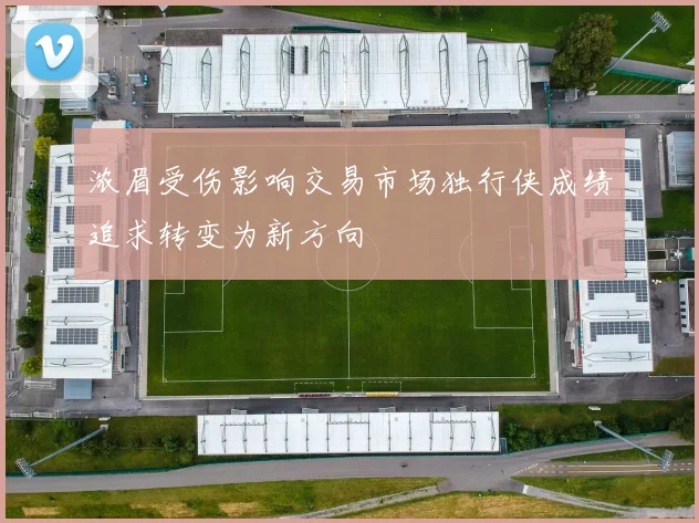 浓眉受伤影响交易市场独行侠成绩追求转变为新方向