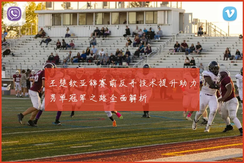 王楚钦亚锦赛前反手技术提升助力男单冠军之路全面解析