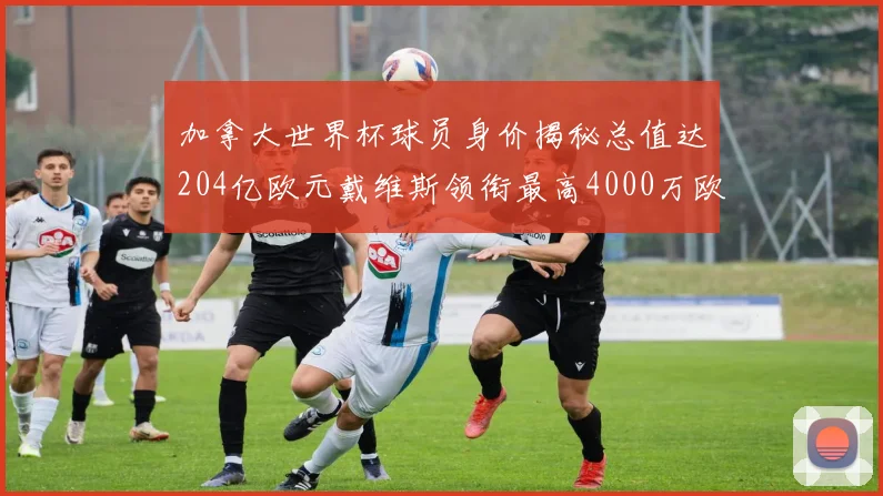 加拿大世界杯球员身价揭秘总值达204亿欧元戴维斯领衔最高4000万欧